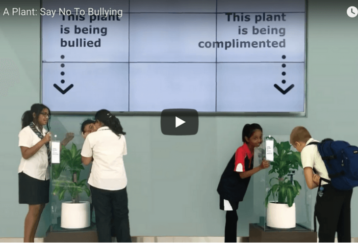 Ikea's planten experiment bewijst dat pesten effect heeft op iedereen