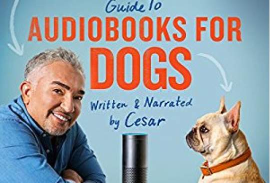 Amazon Alexa leest nu audioboeken voor je huisdier - voelen ze zich niet zo alleen