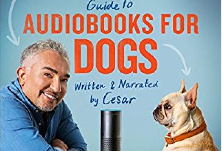 Amazon Alexa leest nu audioboeken voor je huisdier - voelen ze zich niet zo alleen